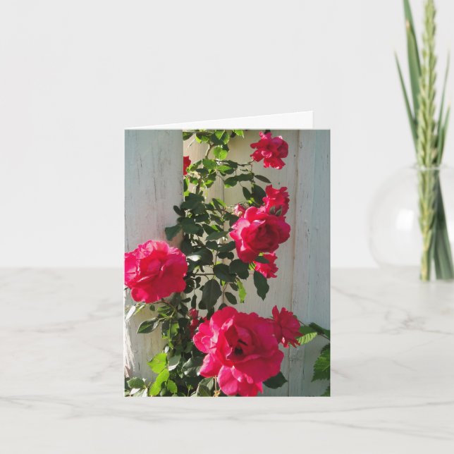 Carte Escalade Roses Rouge, Sympathie (Devant)