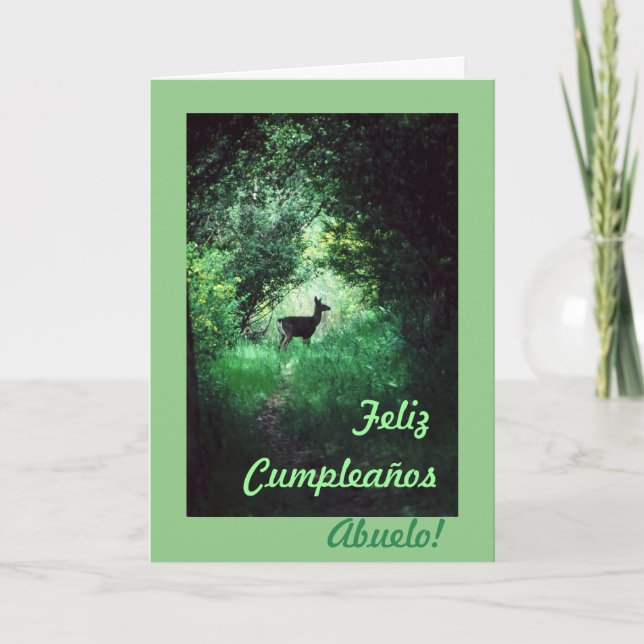 Carte Espagnol : B-jour de l'abuelo /Grandpa de (Devant)