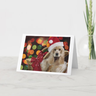 Carte Espagnol Cocker Christmas