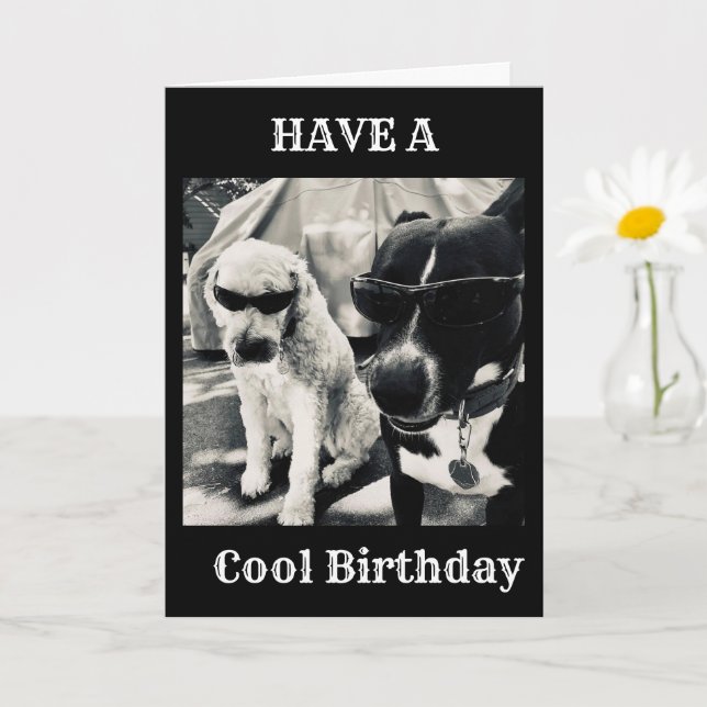 CARTE ESPÉREZ QUE VOTRE ANNIVERSAIRE EST LE "PLUS COOLÉ" (Petite plante)