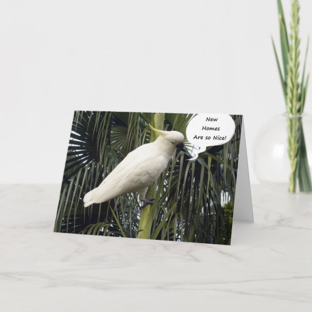 CARTE ESPÉREZ QUE VOTRE NOUVELLE MAISON EST COMFY=FÉLICI (Devant)