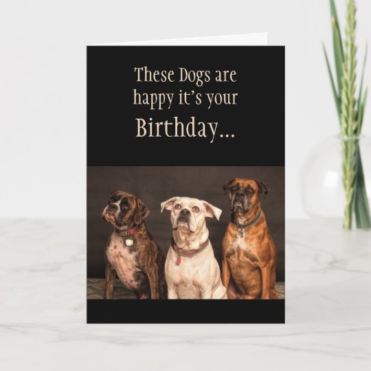 Carte Espoir D Humour De Gateau D Anniversaire Vous Vous Zazzle Fr