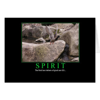 Carte : Esprit - mouche - but : ALLEZ !