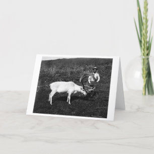 Carte Esquimau d'Alaska et renne capturé