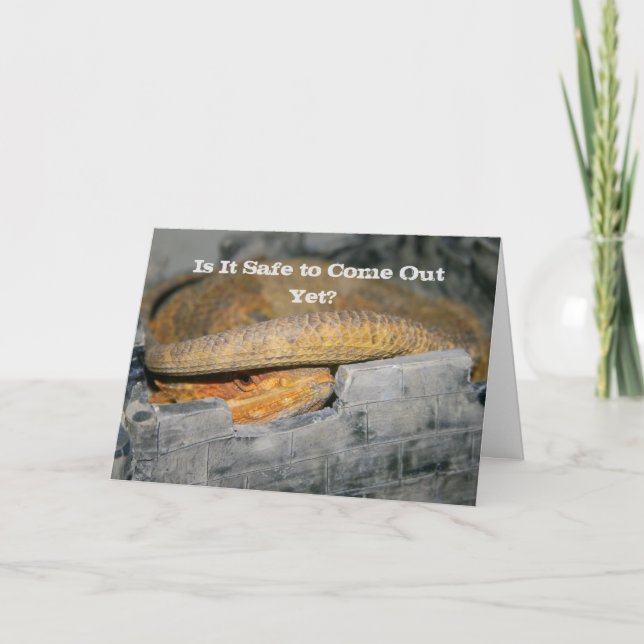 Carte Est-ce encore sûr ? Dragon à poils (Devant)