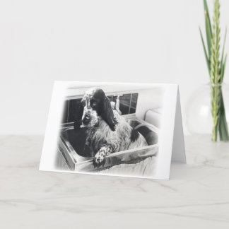 Carte Est-ce que je dois ?