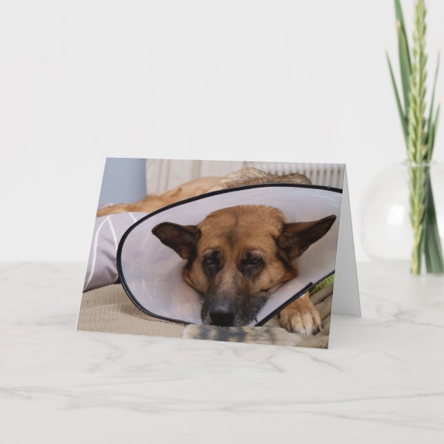 Carte Est-ce que "je dois porter ceci ? " (Devant)