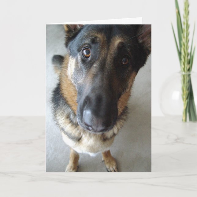 Carte Est-ce que je sens le gâteau ? voeux d'anniversair (Devant)