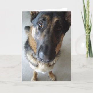 Carte Est-ce que je sens le gâteau ? voeux d'anniversair