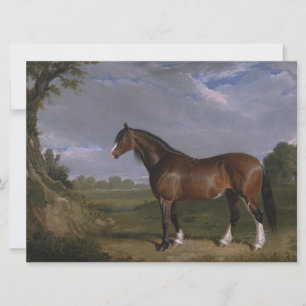 Carte Étalon Clydesdale (Cheval Pur-Sang) (Animal)