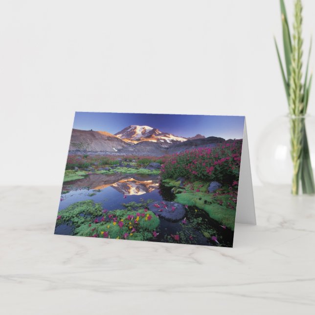 Carte États-Unis, Washington, Mt Rainier NP, lever du so (Devant)
