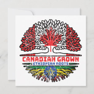 Carte Ethiopie Canada drapeau des racines de l'arbre du 