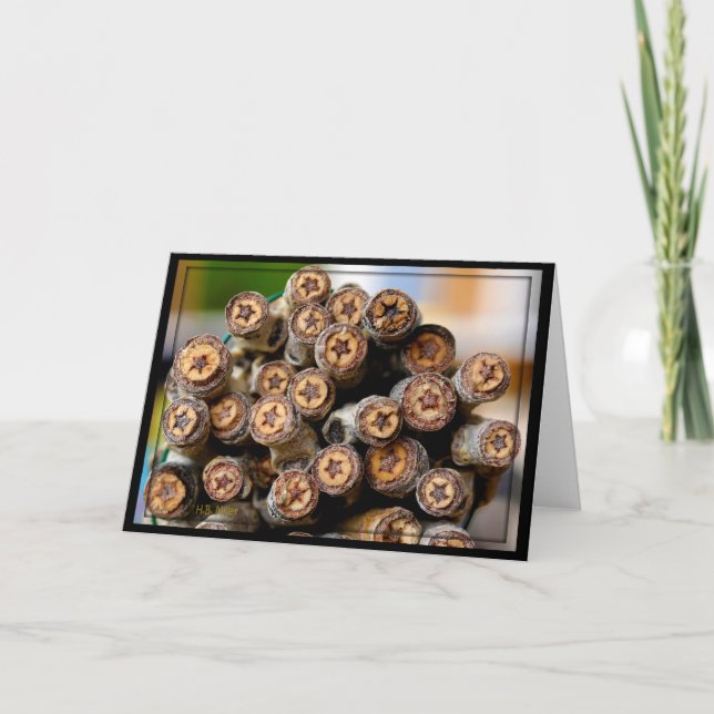 Carte Etoiles le long du Rio Grande Cotton Wood Trees (Devant)