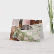 Étude de chat tigré gris à l'aquarelle