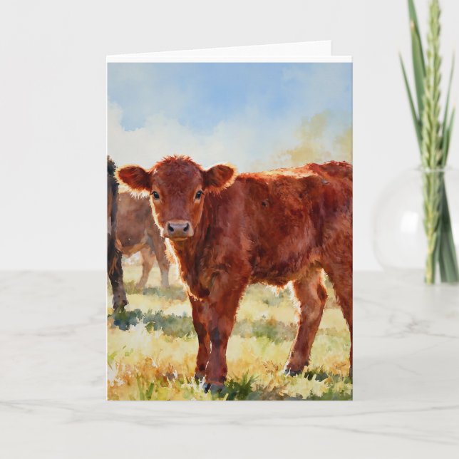 Carte Étude de veau Red Angus A à l'aquarelle (Devant)