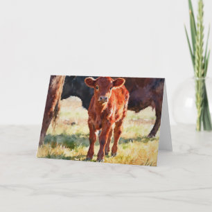 Carte Étude de veau Red Angus A à l'aquarelle