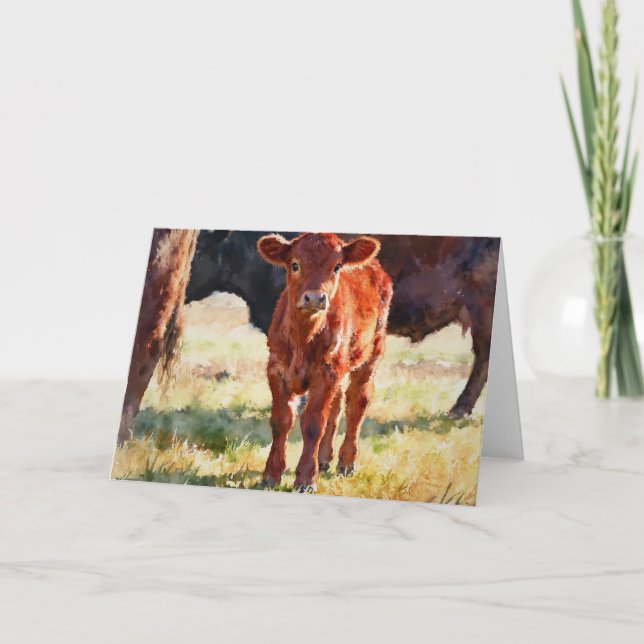 Carte Étude de veau Red Angus A à l'aquarelle (Devant)