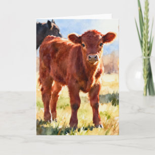 Carte Étude de veau Red Angus C à l'aquarelle