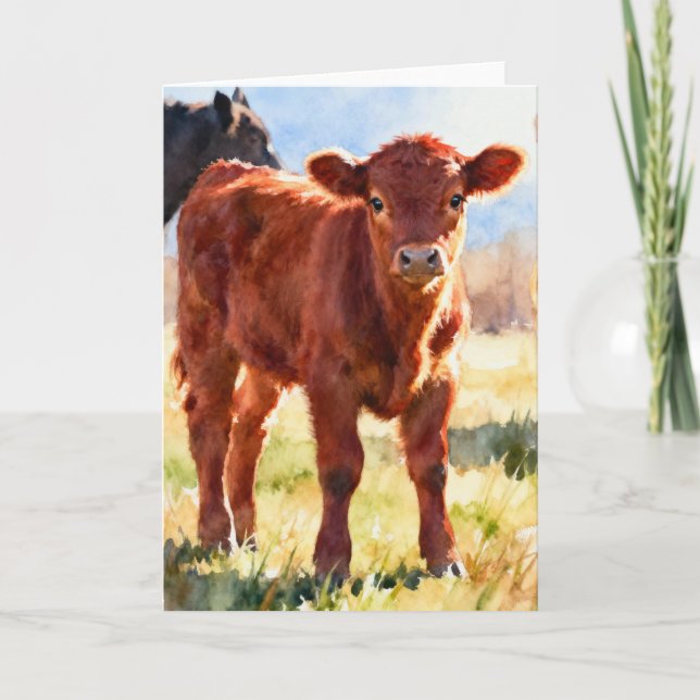 Carte Étude de veau Red Angus C à l'aquarelle (Devant)