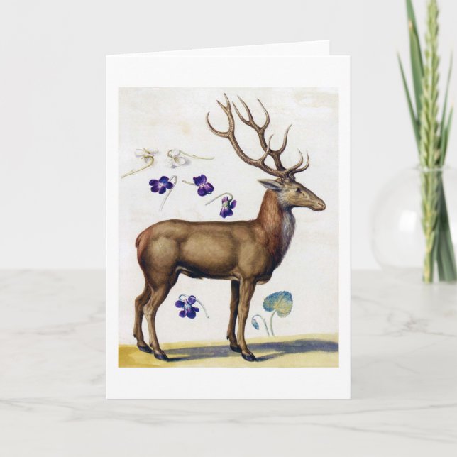 Carte Étude des cerfs et des fleurs, Arcimboldo (Devant)