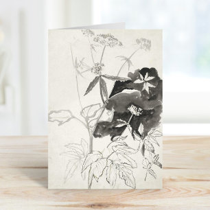 Carte Étude plante   Carel Adolph Cachet