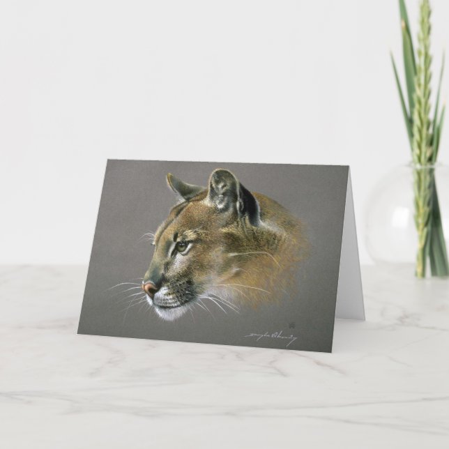 Carte Étude sur le cougar (Devant)