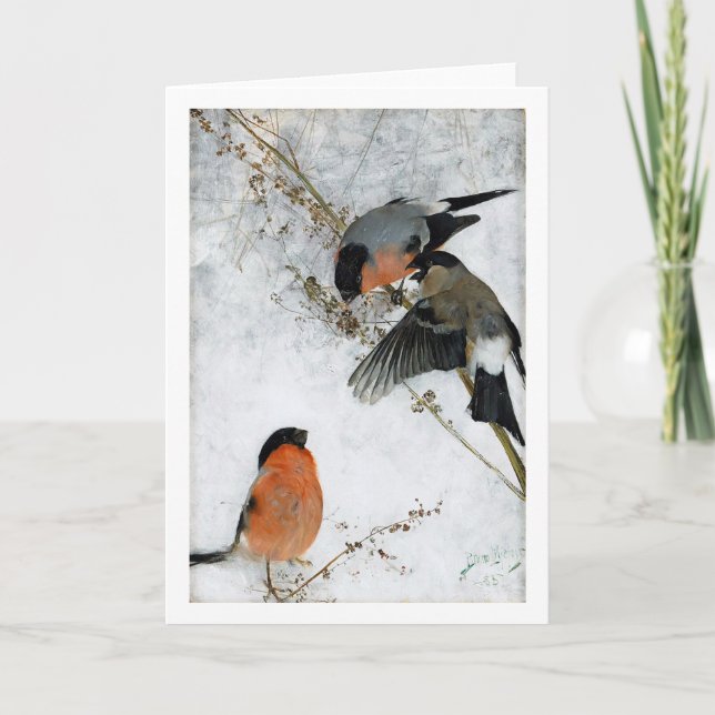 Carte Études sur le lièvre sauvage (lapin), Bruno Liljef (Devant)