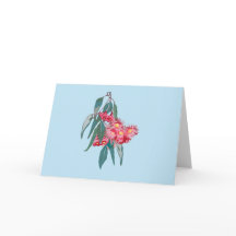 Eucalyptus (Corymbia ficifolia) sur Bleu