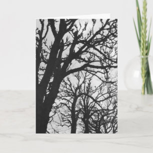 Carte Europe, France, Paris. Arbres d'hiver, Marco