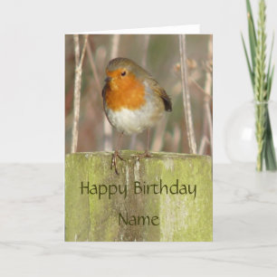 Carte "European Robin-Bird Northumberland England"