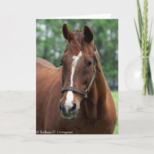 Carte Exactement si Portrait