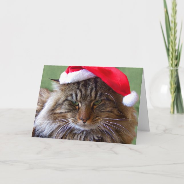 Carte excentrique de chat de Noël (Devant)