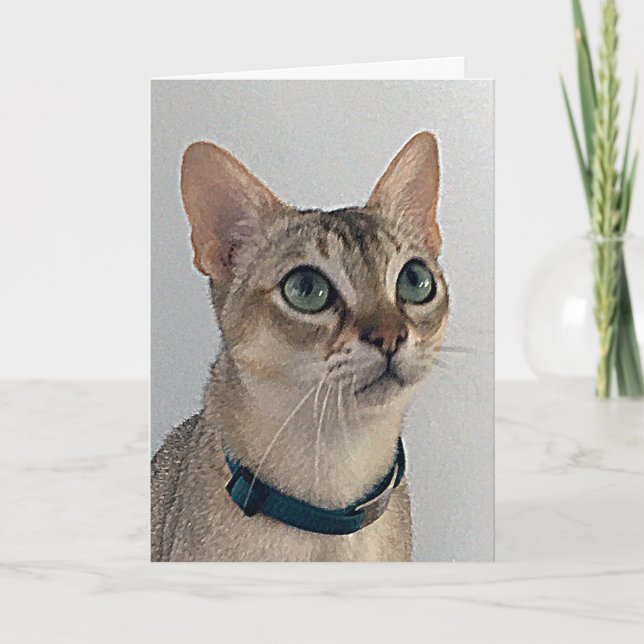 Carte Excuses de chatte narky Anniversaire (Devant)