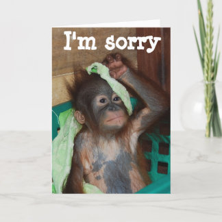 Carte Excuses Je suis désolé