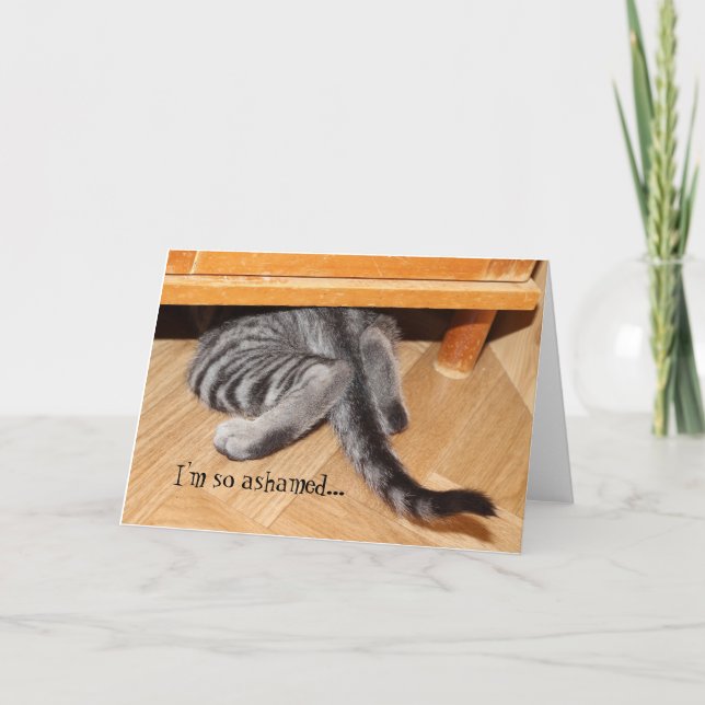 Carte Excusez-moi de chats mignons Drôle Désolé, telleme (Devant)