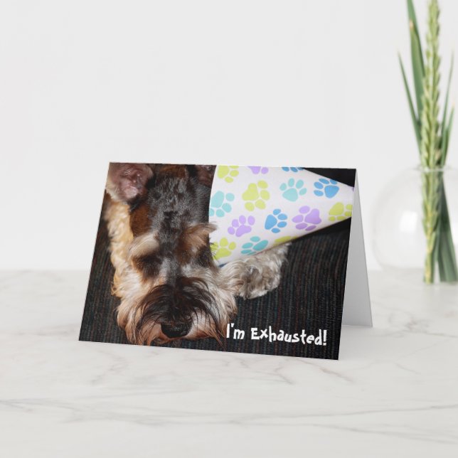 Carte Exhausted Puppy with Party (Devant)