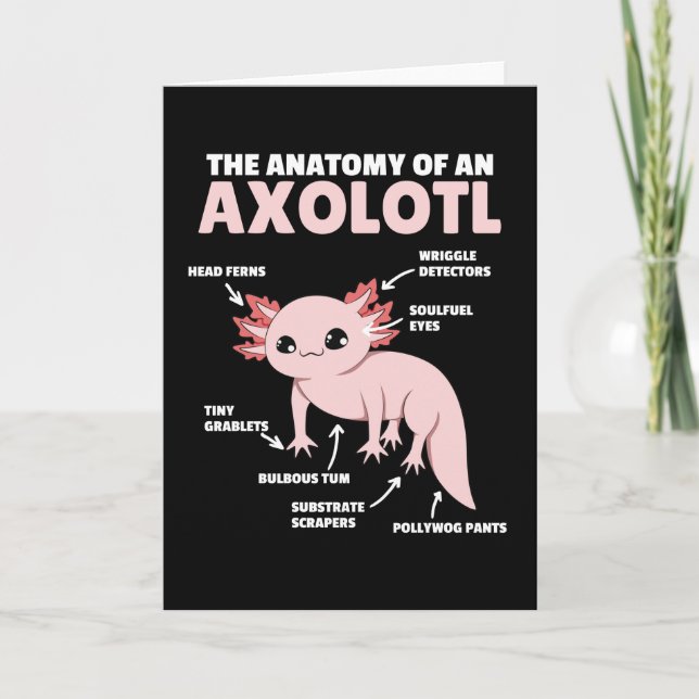 Carte Explication Axolotl Anatomie D'Un Axolotl (Devant)