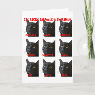 Carte Expressions faciales Cat Expliqué Graphique Découp
