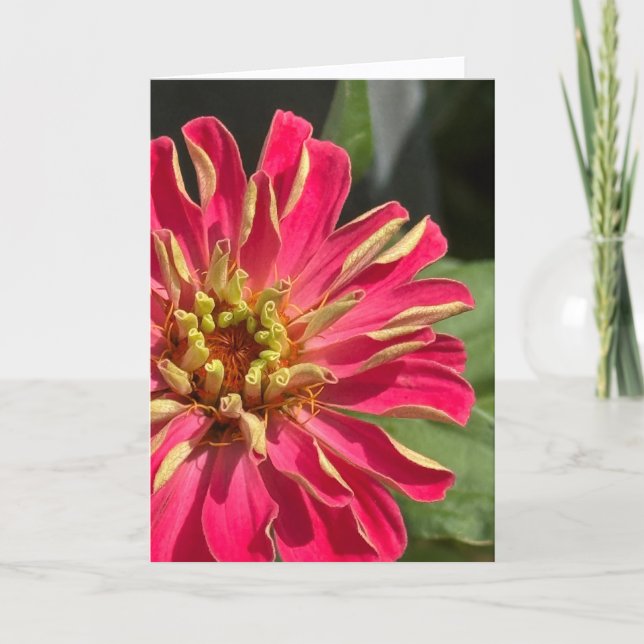 Carte Exuberant Zinnia Blank Greeting Card (Devant)