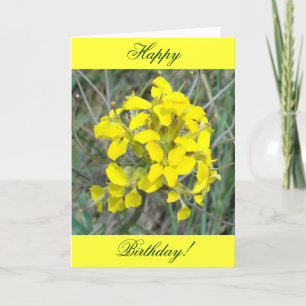 Carte F14 Fleurs sauvages jaunes