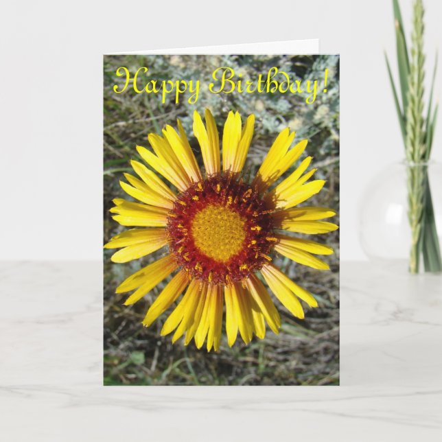 Carte F1 Fleur sauvage jaune Gaillardia (Devant)