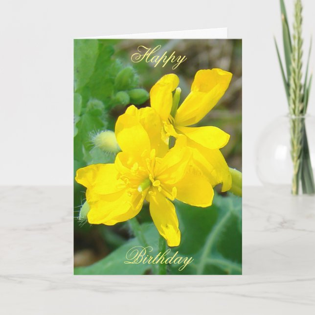 Carte F44 Mustard sauvage Fleur sauvage jaune (Devant)