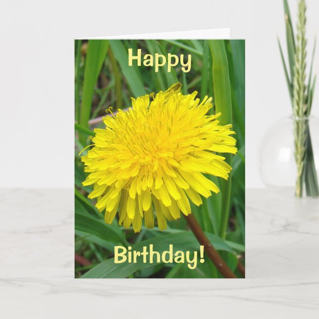 Carte F45 Dandelion "Taraxacum officinale" (Devant)
