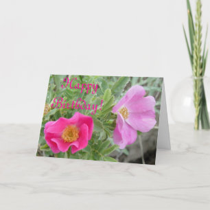 Carte F4 Roses Sauvages