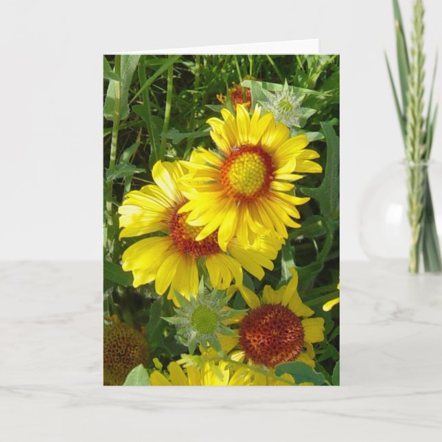 Carte F6 Fleurs sauvages jaunes Gaillardia (Devant)