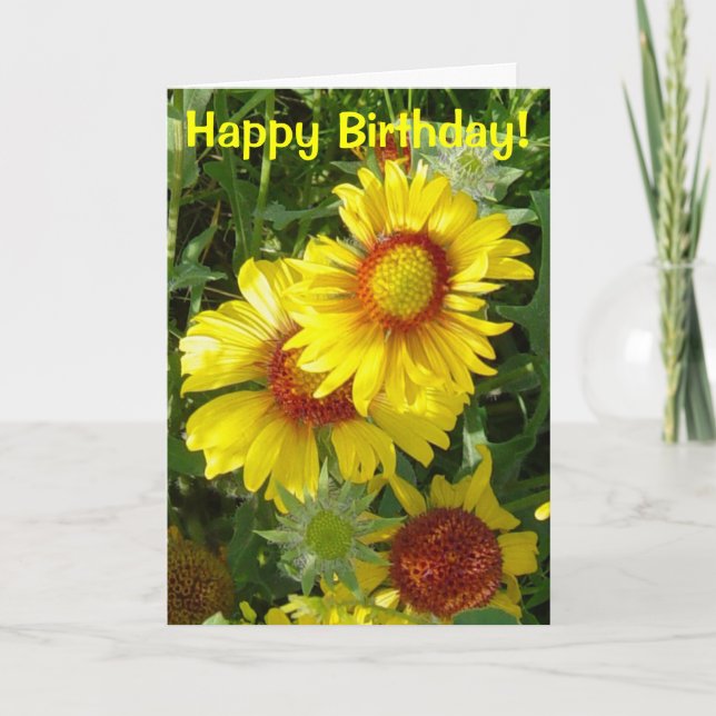 Carte F6 Fleurs sauvages jaunes Gaillardia (Devant)