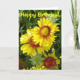 Carte F6 Fleurs sauvages jaunes Gaillardia
