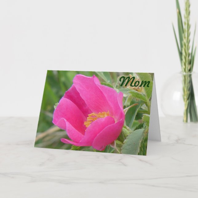 Carte F7 Rose sauvage (Devant)