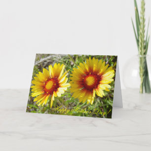 Carte F8 Fleurs sauvages jaunes Gaillardia