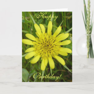 Carte F9 Jaune Salsifis sauvage